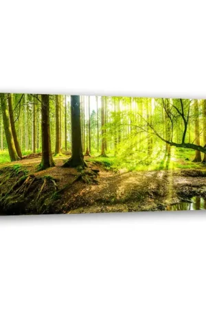 Canvas Poster 'Green Forest Sunlight 2' Gecertificeerd