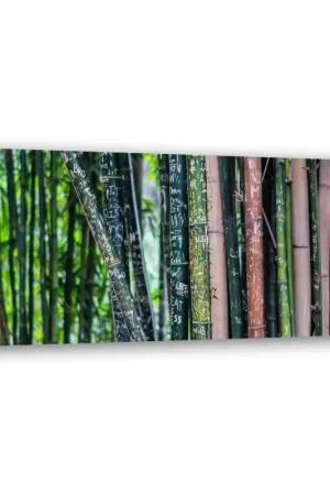 Favoriet Canvas Poster 'Bamboo Forest'