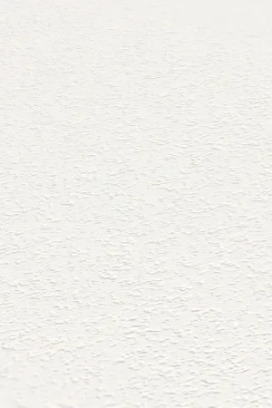 Behang 'Fleeting Image' 53x1005cm Populair
