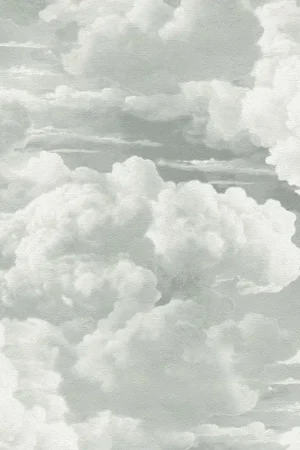Behang 'Dreamy Clouds' 53x1005cm Flitsaanbieding