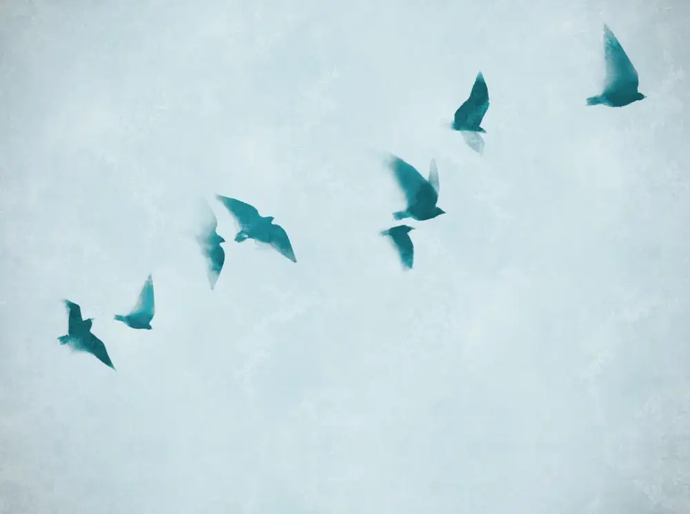 Flitsaanbieding Behang 'Skyward Flight' 371x280cm